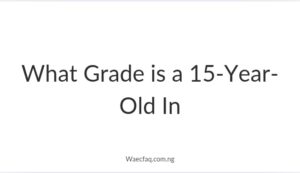 What Grade Is A 15 Year Old In