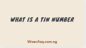 What Is a TIN Number?